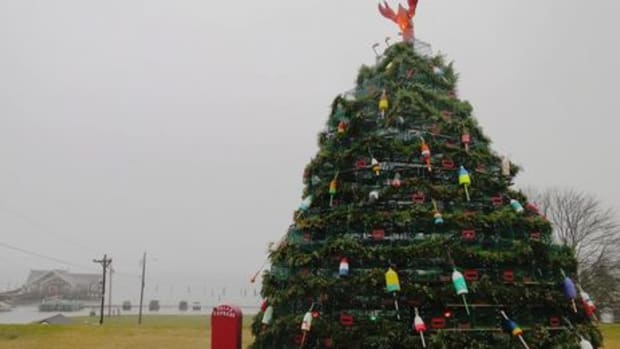 Lobster_trap_Christmas_tree_Rockland_Maine_2014-cPanbo.jpg