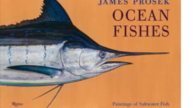 Ocean Fishes book cover