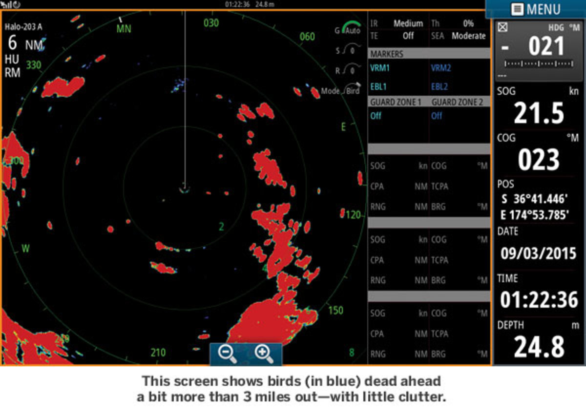 Birds on radar screen