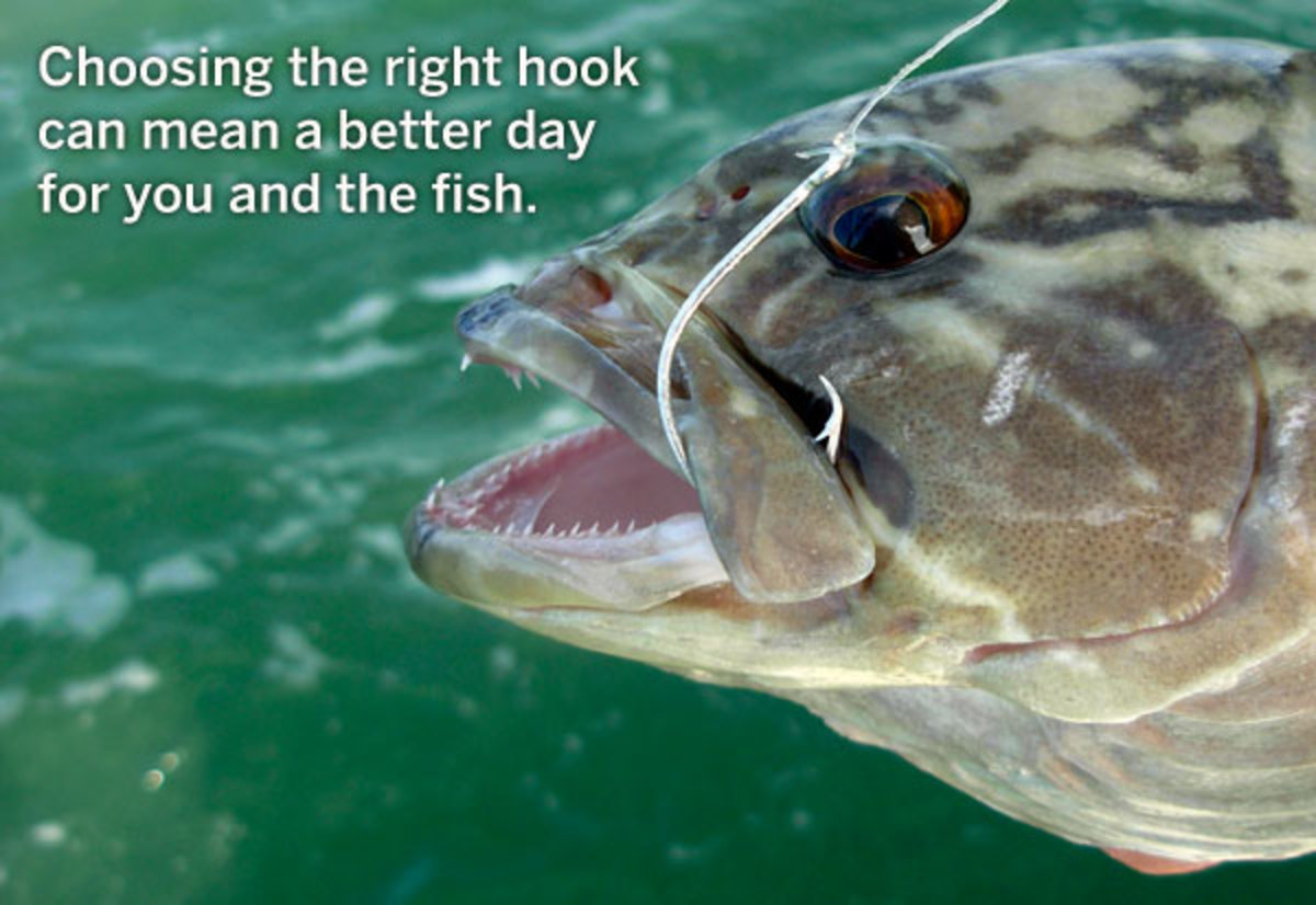 fish with hook