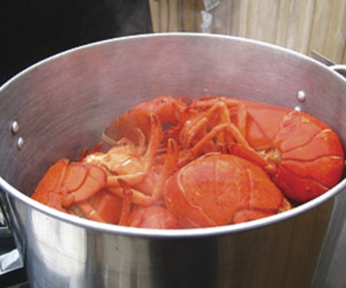 lobster in pot