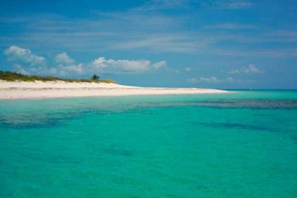 The Abacos