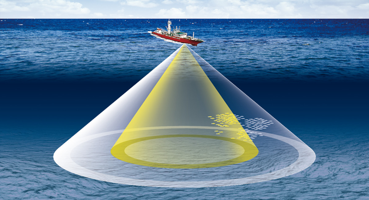 scanning sonar illustration