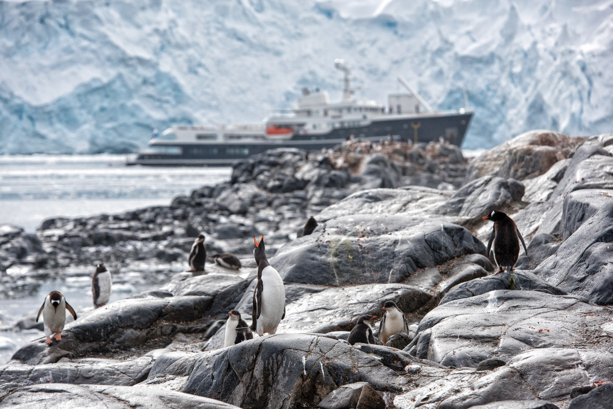 Penguin colonies are one of Antarctica’s otherworldly charms. Some vessels may even be able to reach colonies of emperor ­penguins that breed on floating ice.