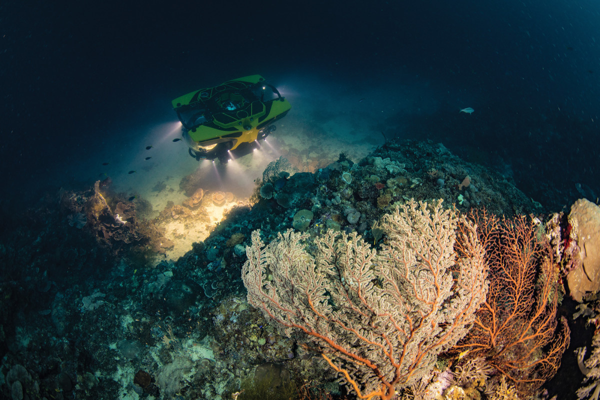 Part of the Cookson Adventures, a seven-seat submersible lights up the ocean floor in the Solomon Islands, revealing a sea fan.