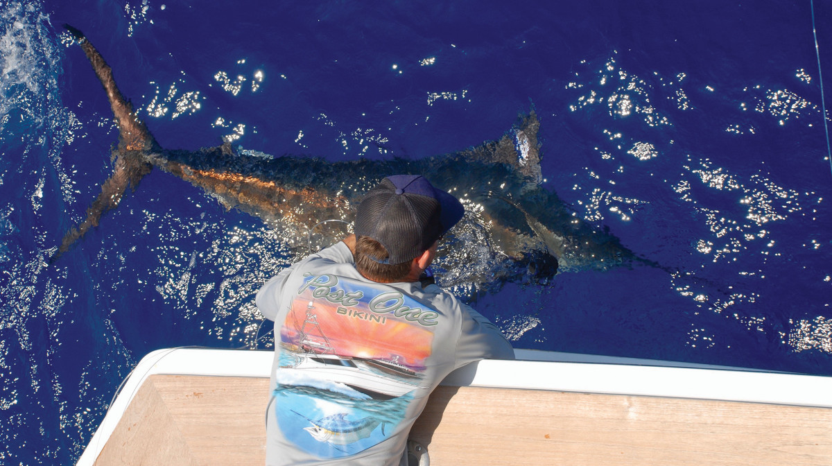 The crew chases blue marlin in Bermuda