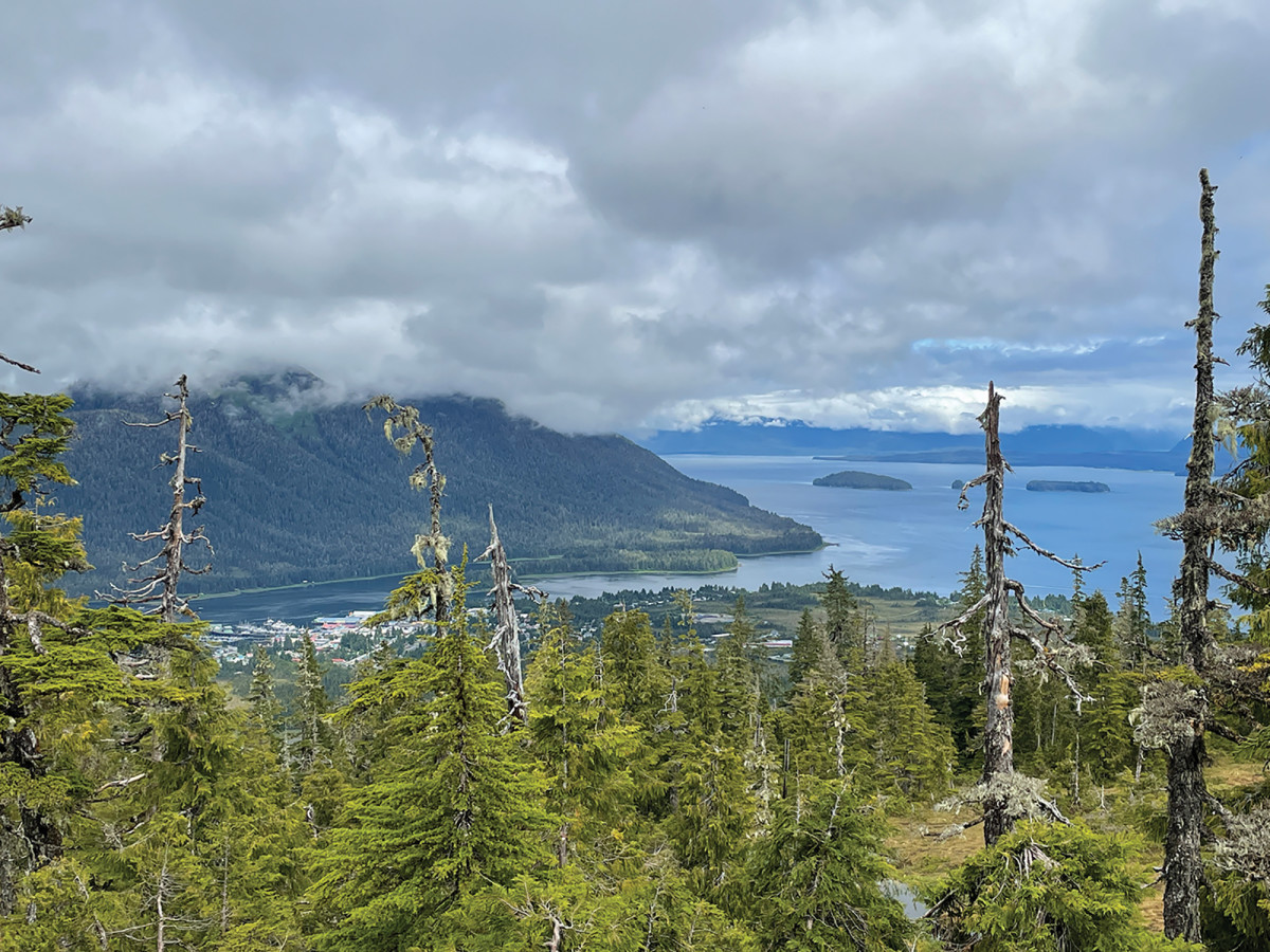 A view of Petersburg, Alaska, from the Raven Trail.