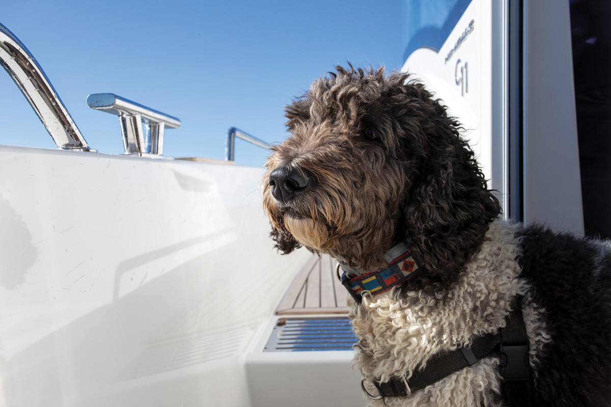 With Maggie, their 6-year-old Goldendoodle, safely aboard, it’s time to put the throttle down so we can all get home by dinner.